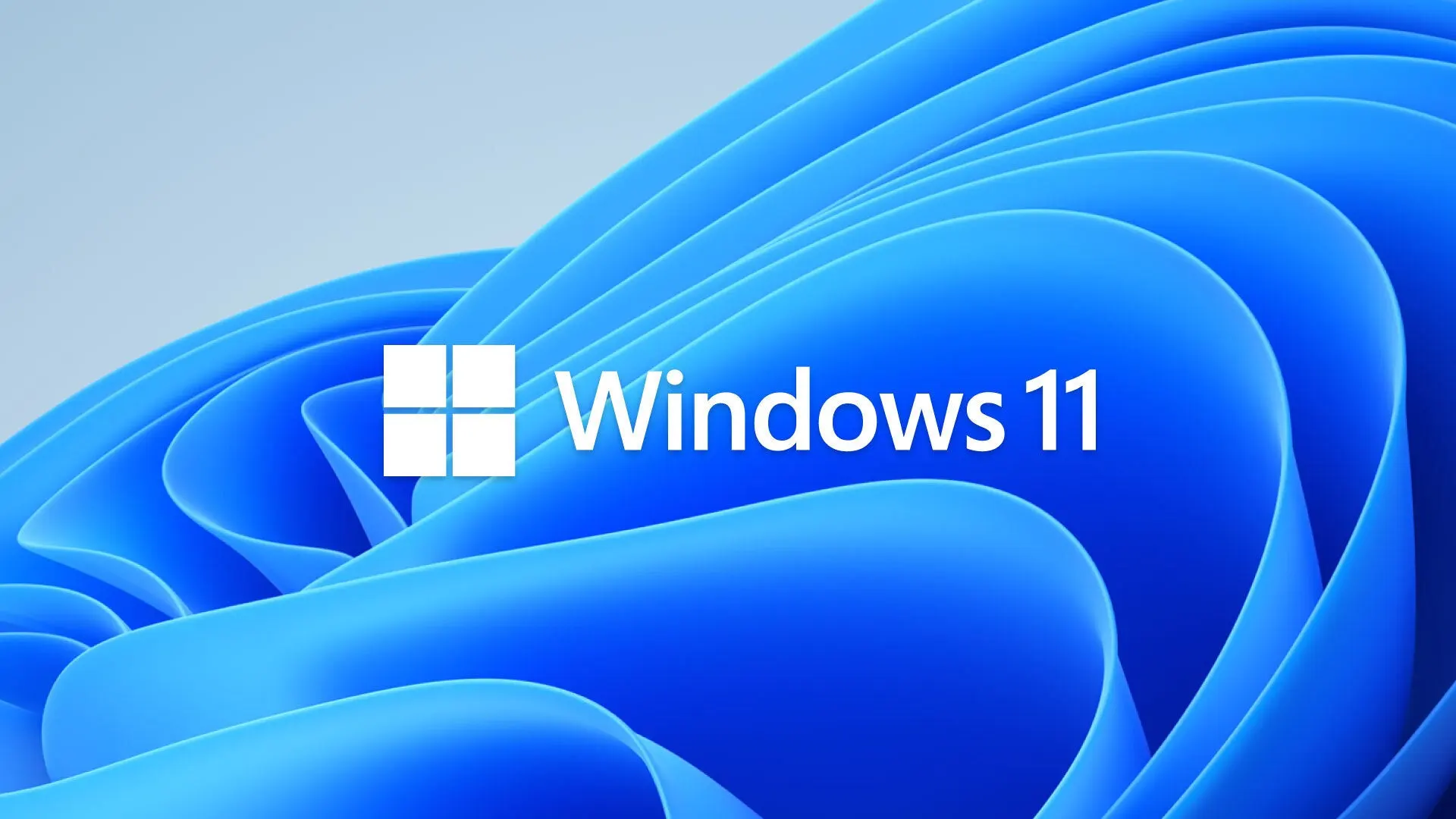 Windows 11 Insider Previews：最新版本中有哪些内容？